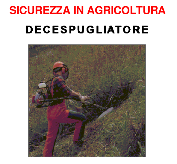 Decespugliatore